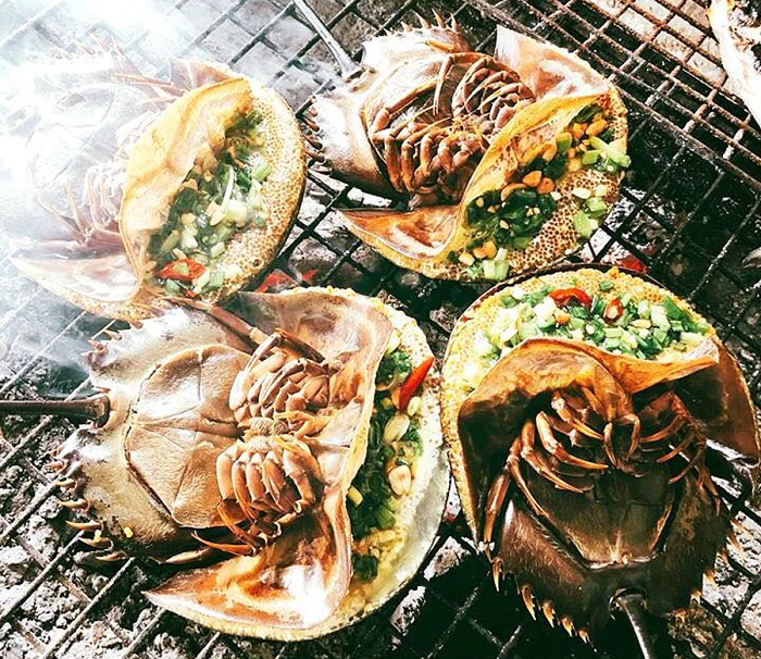 Kinh Nghiệm Du Lịch Vịnh Hạ Long