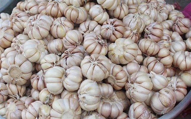 Mơ thấy củ tỏi là điềm lành hay điềm xấu? Giải mã mơ thấy củ tỏi