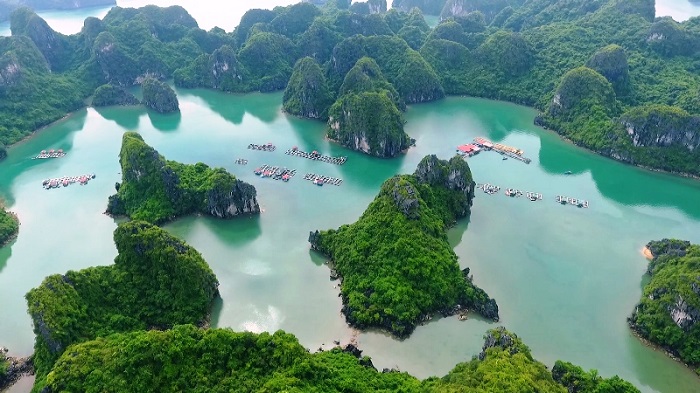 Tour du lịch Vịnh Hạ Long 3 ngày 2 đêm