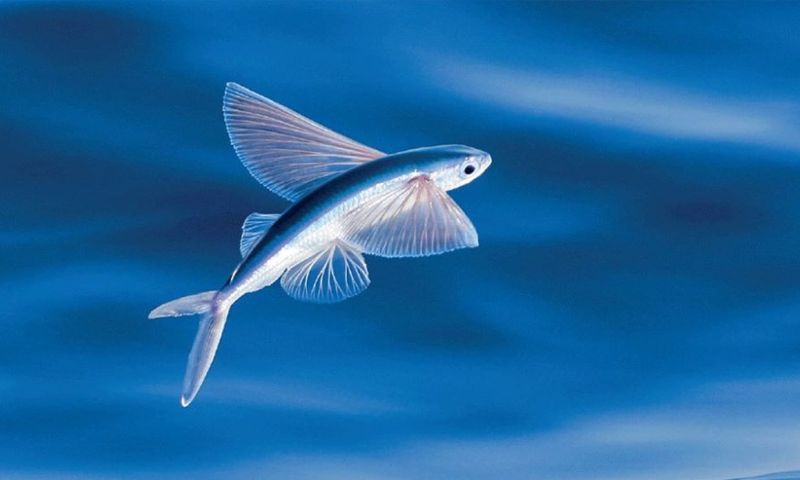 Có Nên Lo Lắng Nếu Mơ Thấy Giấc Mơ Cái Ghế?