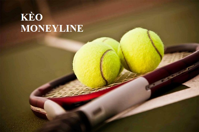 Cá cược dòng tiền là gì? Hướng dẫn chơi cá cược trực tuyến