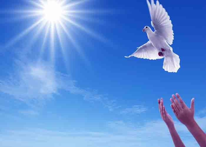 Tôi đổi phòng khách con số may mắn của mình Chiêm bao nằm mơ thấy phóng sinh dự báo điềm gì liên quan đến tương lai?