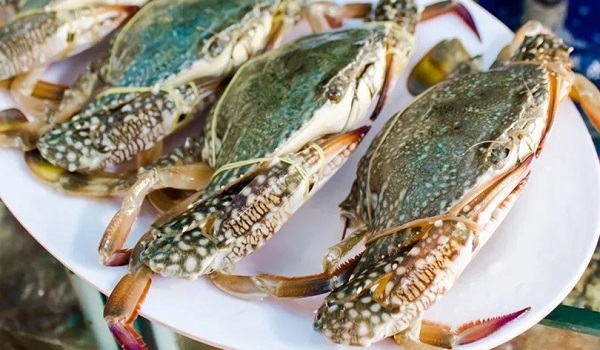 Con cua là số mấy? Nằm mơ thấy ăn cua chết là điềm lành hay xui xẻo-2 Con ghẹ số mấy? Nằm mơ thấy ăn ghẹ chết báo điềm hên hay xui