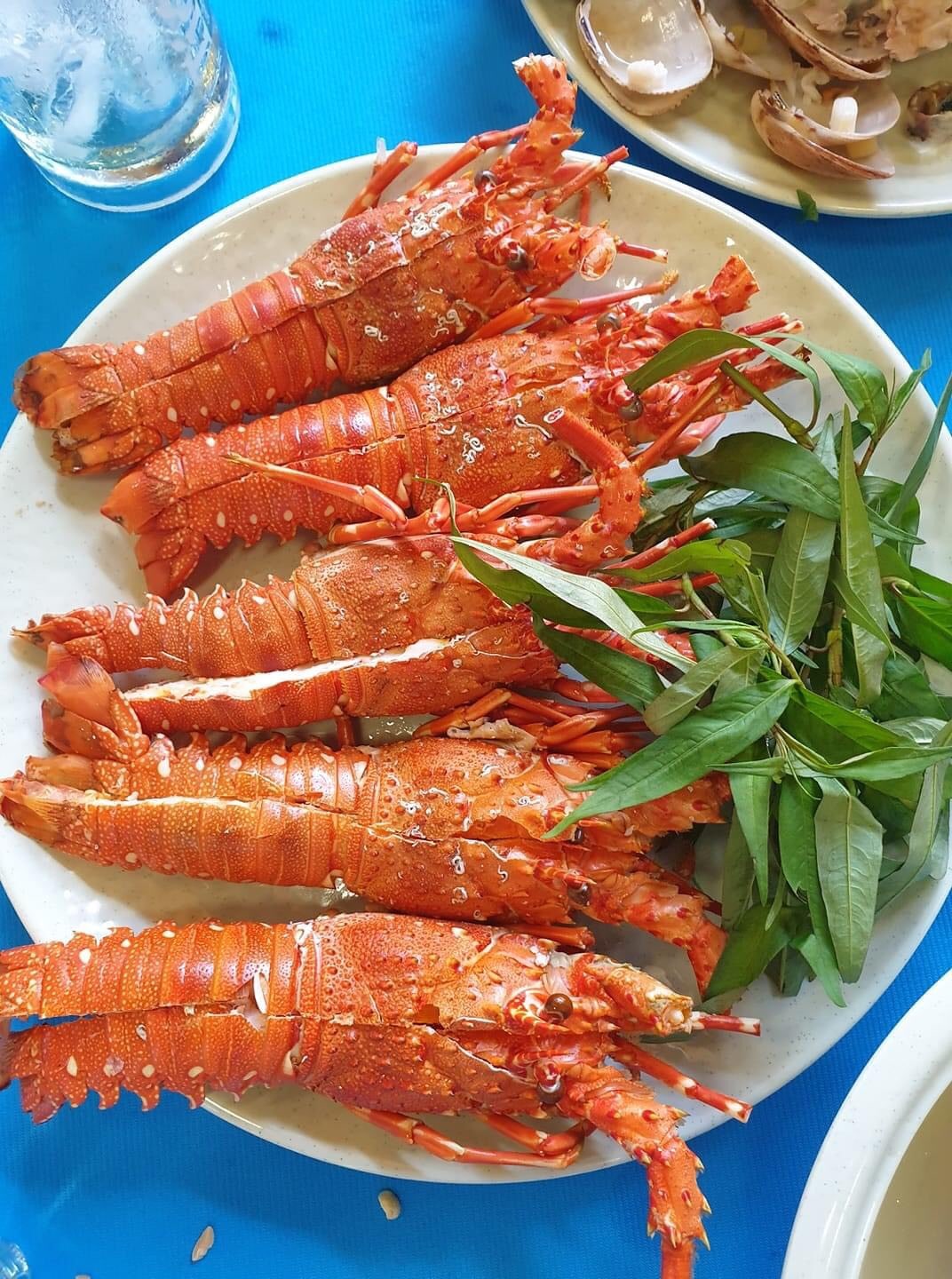 Tổng hợp những kinh nghiệm du lịch Phan Rang giá rẻ đầy đủ và chi tiết nhất 5