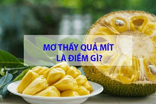 Nằm mơ thấy mít nên đặt cược vào con số nào để trúng tiền tỷ? Dấu hiệu gì? - Ngày âm lịch