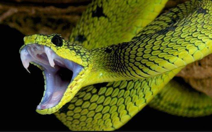 Kết quả xổ số 3 miền: XSMB - XSMN - XSMT - Xổ số Đại Cát