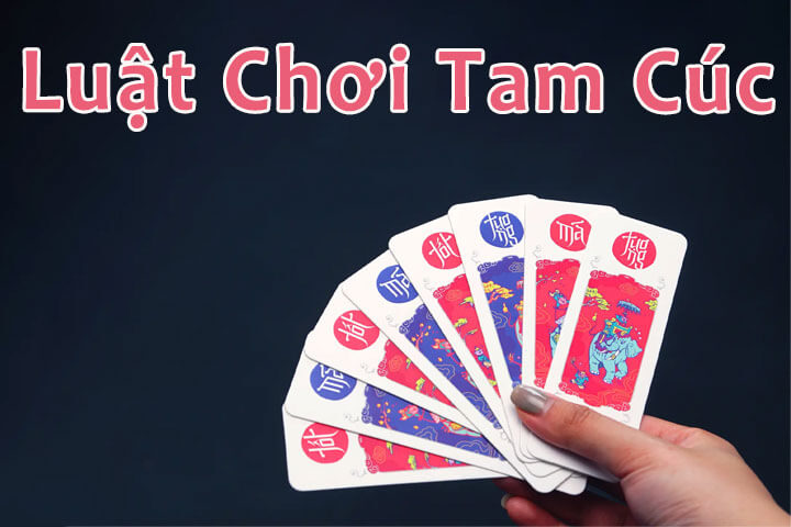 Tam Cúc là gì? Tìm hiểu chi tiết về bí quyết chinh phục Tam Cúc tại SHBET - SHBET