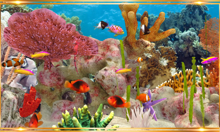 Top 4 game nuôi cá hay nhất trên điện thoại năm 2024