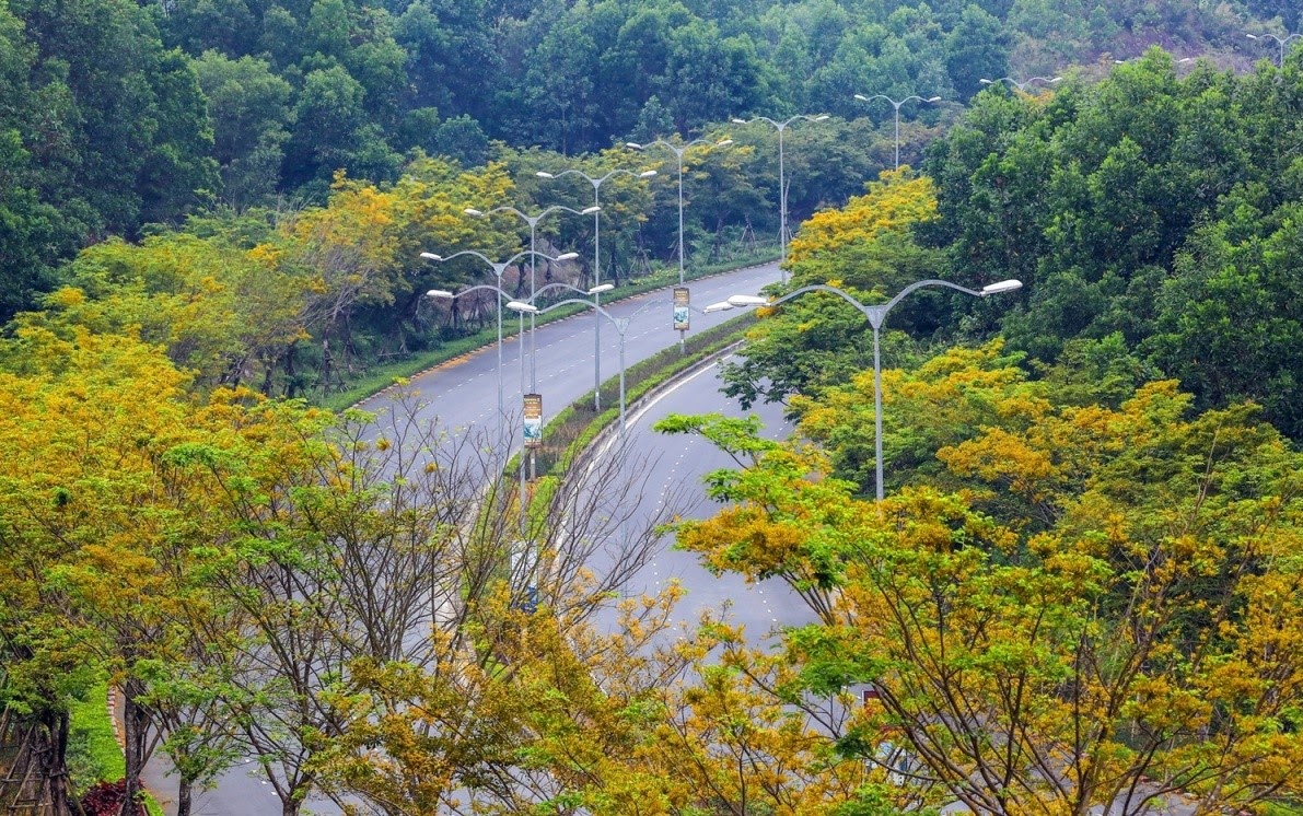 Con đường vàng ngập tràn hoa sữa khi đến chùa Linh Ứng Bà Nà (Nguồn: Internet)