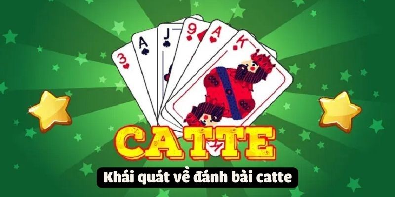 Khám phá thế giới giải trí cùng Catte Online Game - Trải nghiệm độc đáo và hấp dẫn