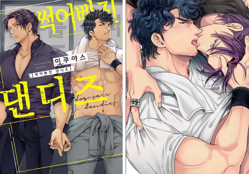 Tuyển Tập Truyện Tranh Lãng Mạn Siêu Sở Hữu Hay Nhất