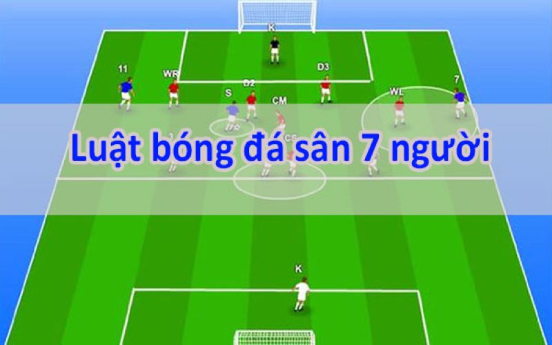 Phân tích chi tiết luật bóng đá 7 người và tác động của chúng đến chiến thuật trên sân - Thông tin thể thao