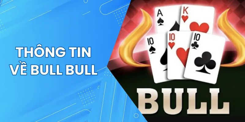 Giới thiệu từ A đến Z về Bull Bull dành cho người mới bắt đầu