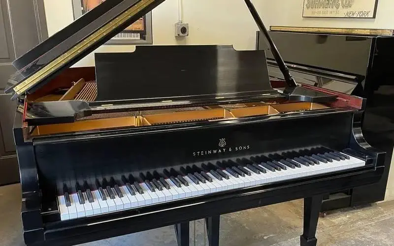 Top 11 thương hiệu đàn piano nổi tiếng thế giới 13 Steinway Piano là một trong các thương hiệu đàn piano nổi tiếng