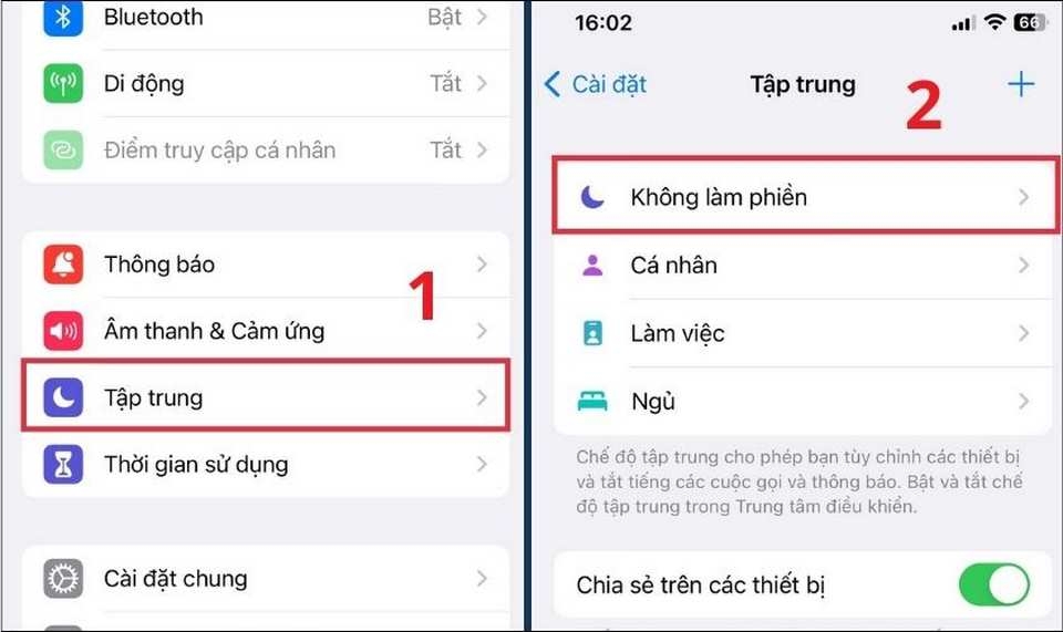Chọn hình dạng cơ bản