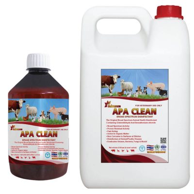 Bệnh cầu trùng ở gà - Cách phòng bệnh và điều trị kịp thời - Tiến Thắng Vet