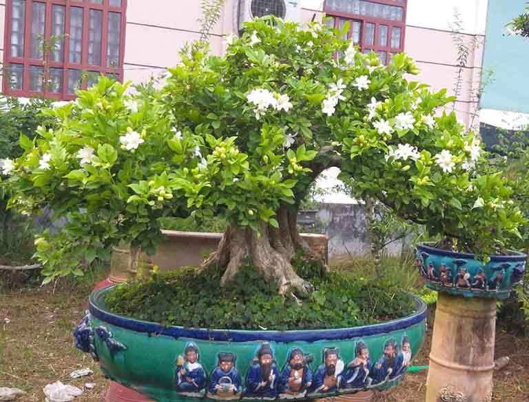 y nghia hoa nguyet que 6