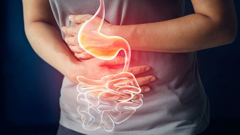 Xuyên tâm liên ngăn ngừa loét dạ dày và tá tràng. Xuyên tâm liên ngăn ngừa viêm loét dạ dày, tá tràng