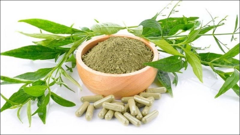 Bạn nên tham khảo ý kiến bác sĩ để biết cách sử dụng Andrographis paniculata an toàn. Bạn nên tham khảo ý kiến của thầy thuốc để biết cách dùng Xuyên tâm liên an toàn