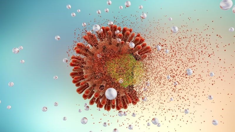 Xuyên tâm liên có khả năng tiêu diệt tế bào ung thư. Xuyên tâm liên có khả năng tiêu diệt tế bào ung thư