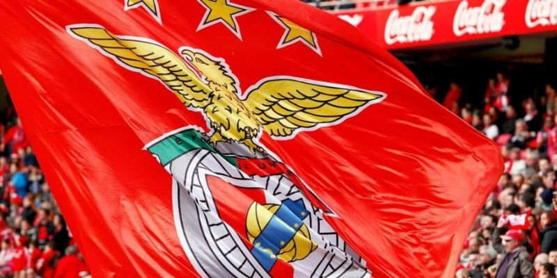 Benfica Quá Trình Thành Lập Và Phát Triển