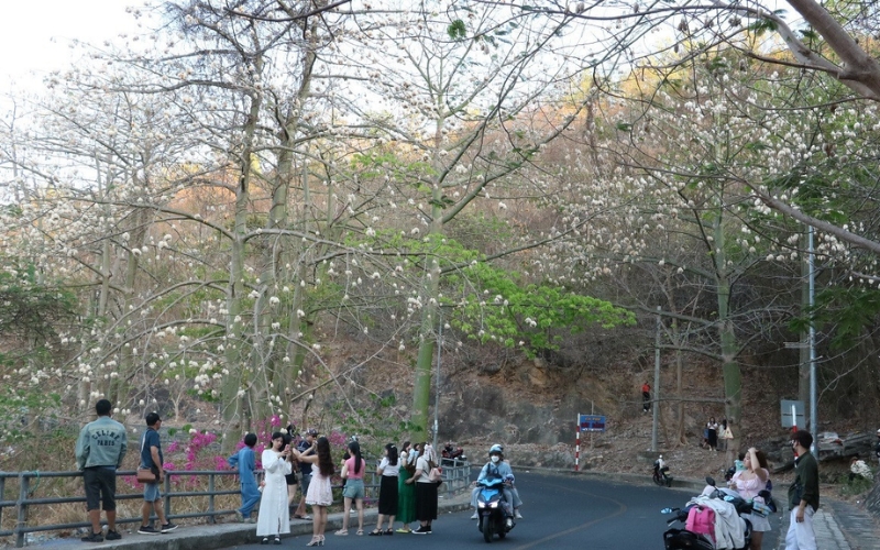 Du lịch Vũng Tàu cùng gia đình